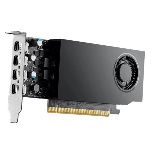 DELL DELL VGA QUADRO RTX A1000, 8GB GDDR6, full height ,PCIe 4.0x8, 4x mDP - SCHEDE VIDEO | TecnoCARE.net Sabaudia, Latina, Terracina, San Felice Circeo e Pontinia