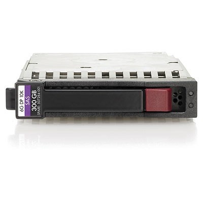 HPE Hewlett Packard Enterprise 300GB hot-plug dual-port SAS HDD 2.5" - SUPPORTI PER LA MEMORIZZAZIONE | TecnoCARE.net Sabaudia, Latina, Terracina, San Felice Circeo e Pontinia