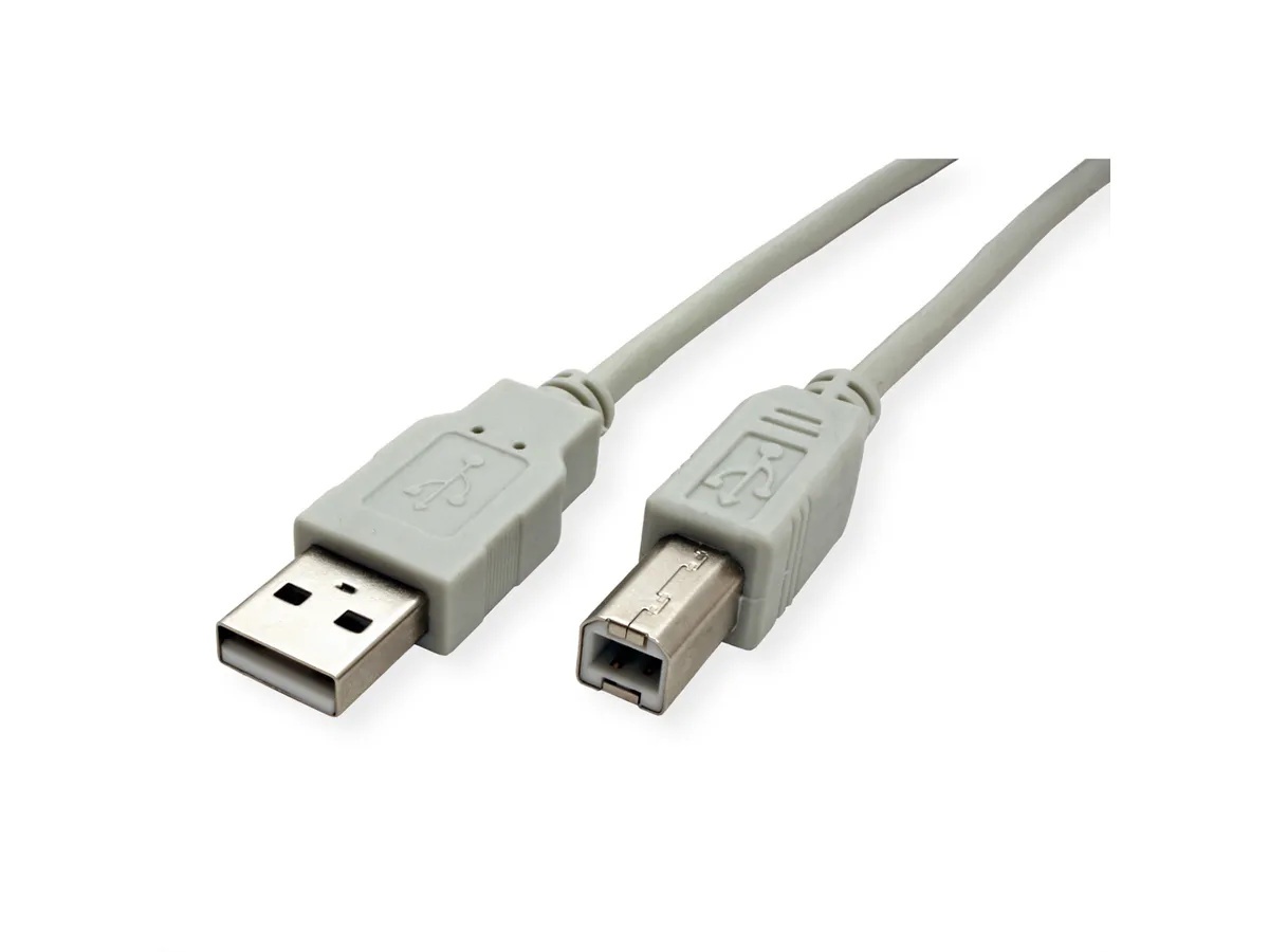 SECOMP STANDARD CAVO USB2.0 CABLE, A-B, M/M, BEIGE, 3M - CAVI HDMI/VGA/DVI/DP | TecnoCARE.net Sabaudia, Latina, Terracina, San Felice Circeo e Pontinia
