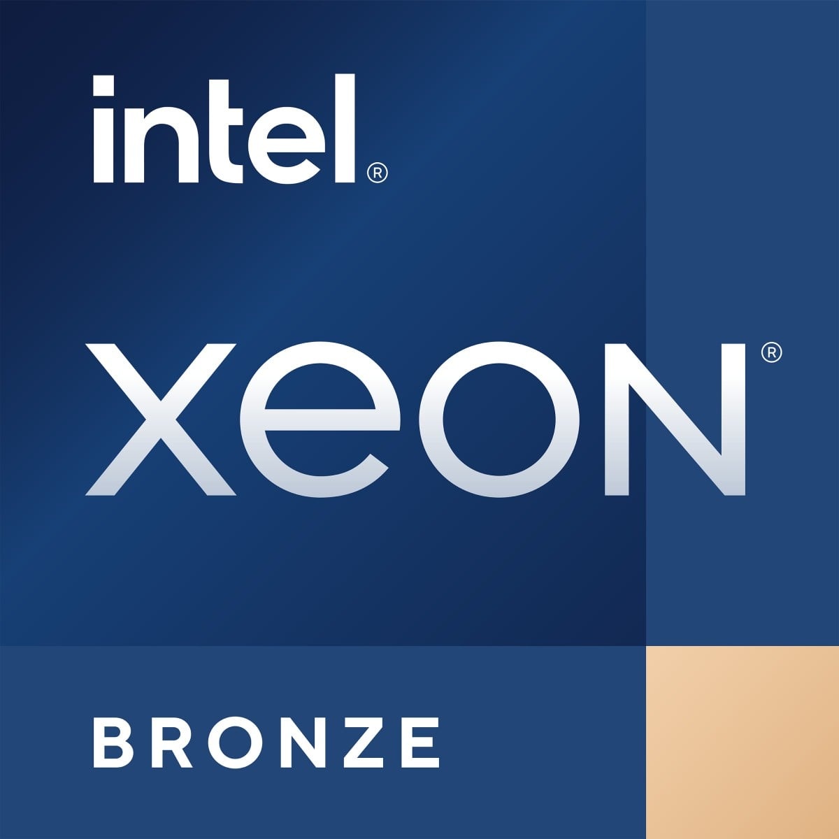INTEL Intel Xeon Bronze 3508U processore 2,1 GHz 22,5 MB Vassoio - COMPONENTI | TecnoCARE.net Sabaudia, Latina, Terracina, San Felice Circeo e Pontinia