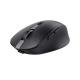 TRUST TRUST MOUSE OZAA COMPATTO WIRELESS - MOUSE | TecnoCARE.net Sabaudia, Latina, Terracina, San Felice Circeo e Pontinia