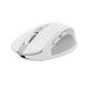 TRUST TRUST MOUSE OZAA COMPATTO WIRELESS, BIANCO - MOUSE | TecnoCARE.net Sabaudia, Latina, Terracina, San Felice Circeo e Pontinia