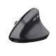 TRUST TRUST MOUSE ERGONOMICO WIRELESS BAYO II - MOUSE | TecnoCARE.net Sabaudia, Latina, Terracina, San Felice Circeo e Pontinia