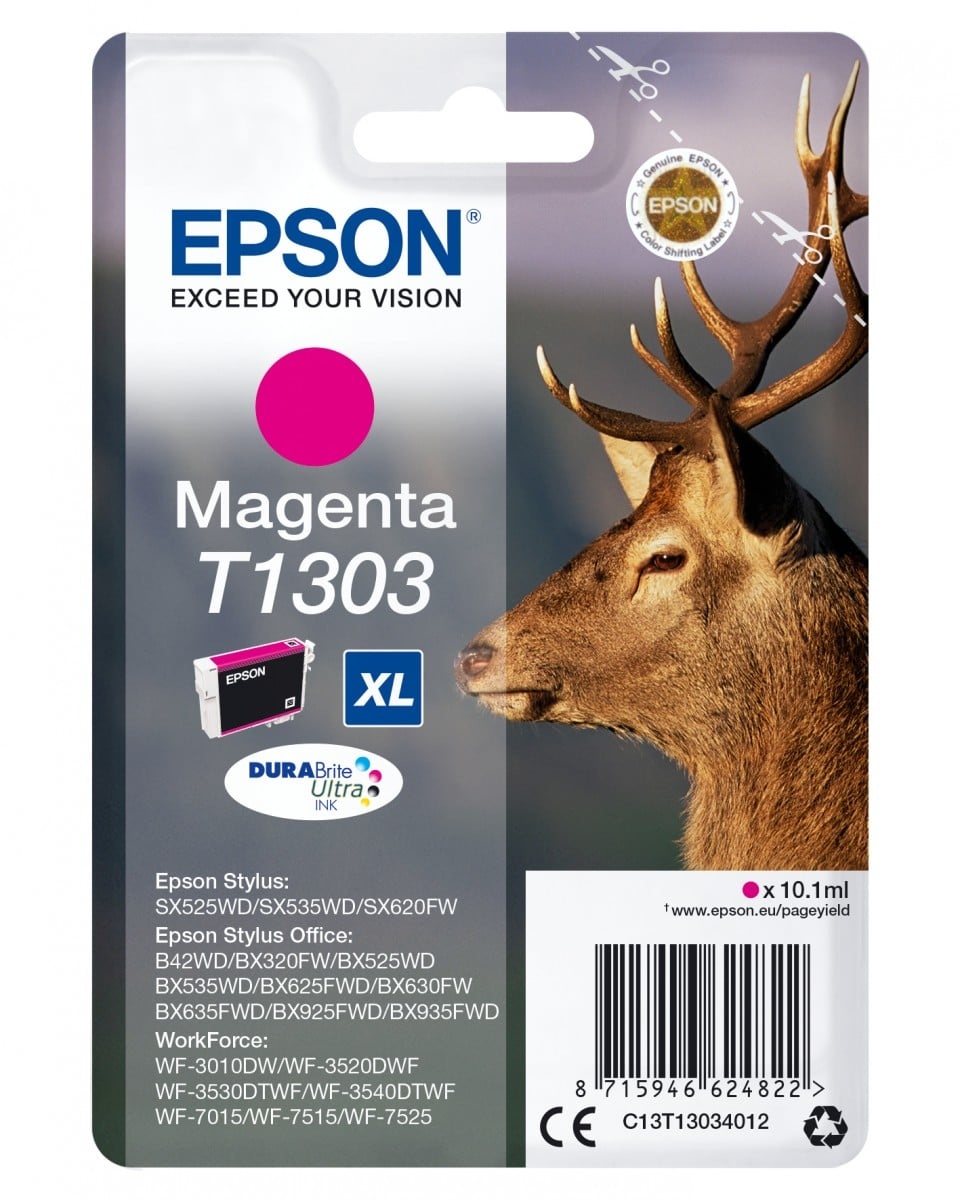EPSON Epson Stag Cartuccia Magenta - STAMPANTI E SCANNER | TecnoCARE.net Sabaudia, Latina, Terracina, San Felice Circeo e Pontinia
